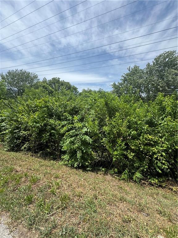 Listing Photo MLS #HMS2562856