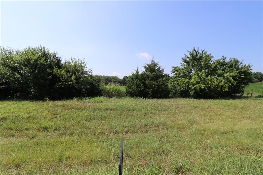 Listing Photo MLS #HMS2565634