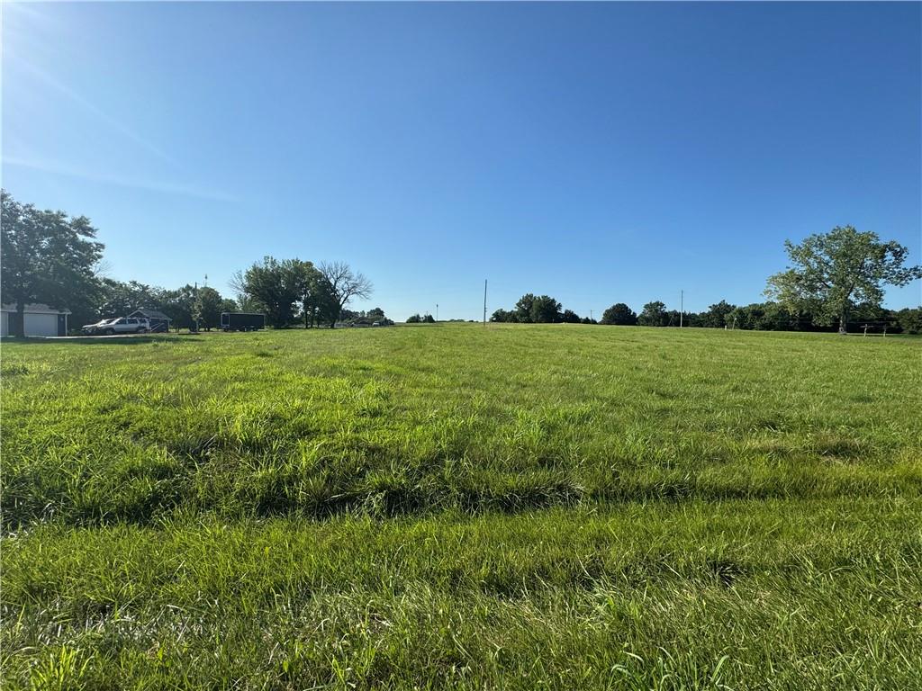 Listing Photo MLS #HMS2566155