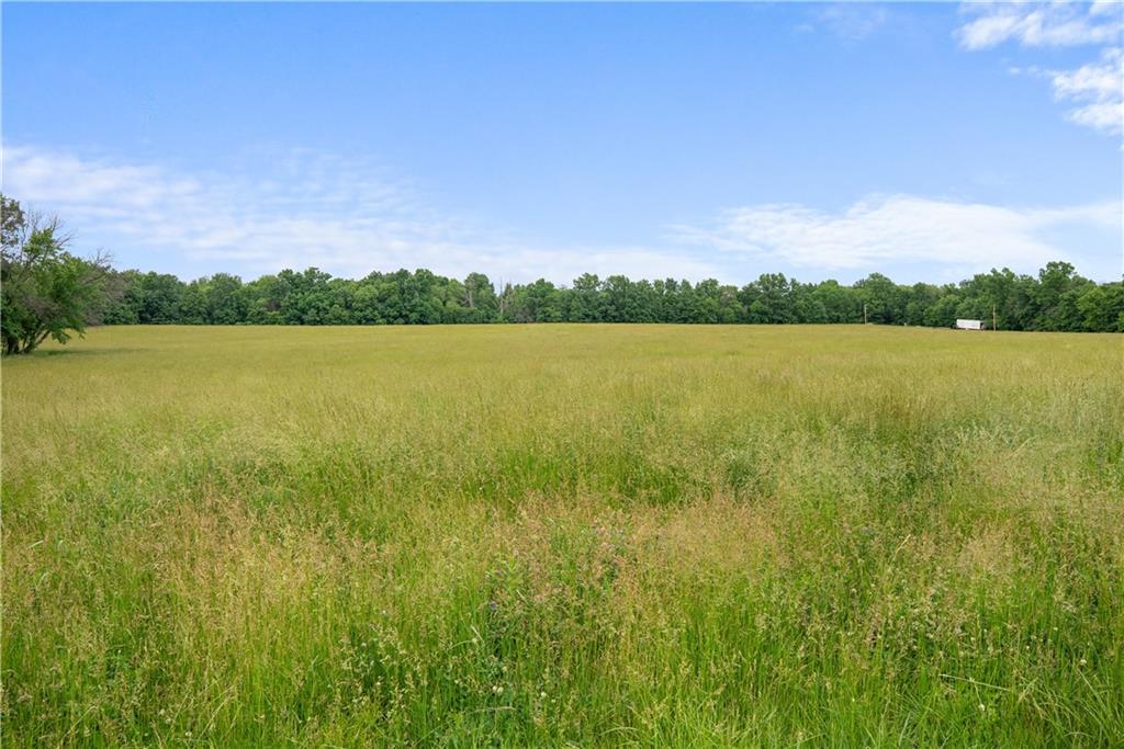 Listing Photo MLS #HMS2566414