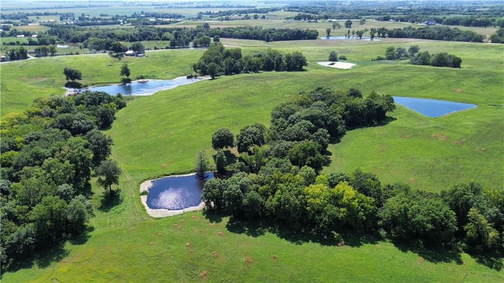 Listing Photo MLS #HMS2566719
