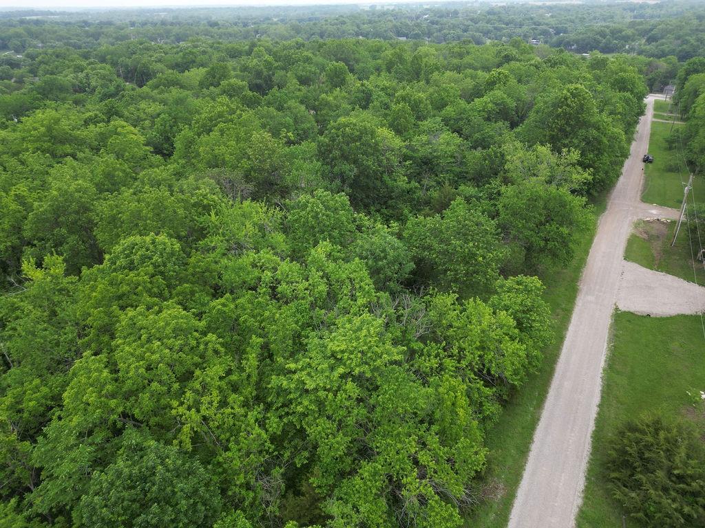 Listing Photo MLS #HMS2566769