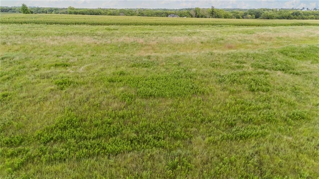 Listing Photo MLS #HMS2566843