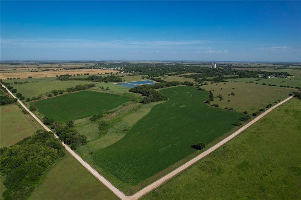 Listing Photo MLS #HMS2566912