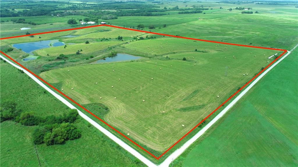 Listing Photo MLS #HMS2566931