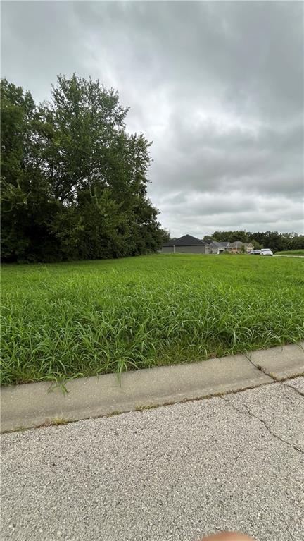 Listing Photo MLS #HMS2566972