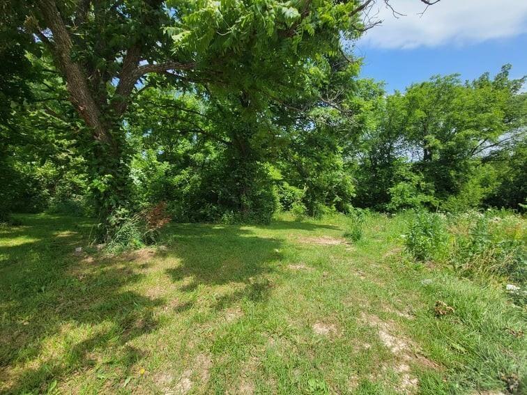 Listing Photo MLS #HMS2567312