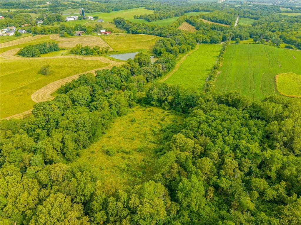 Listing Photo MLS #HMS2568045