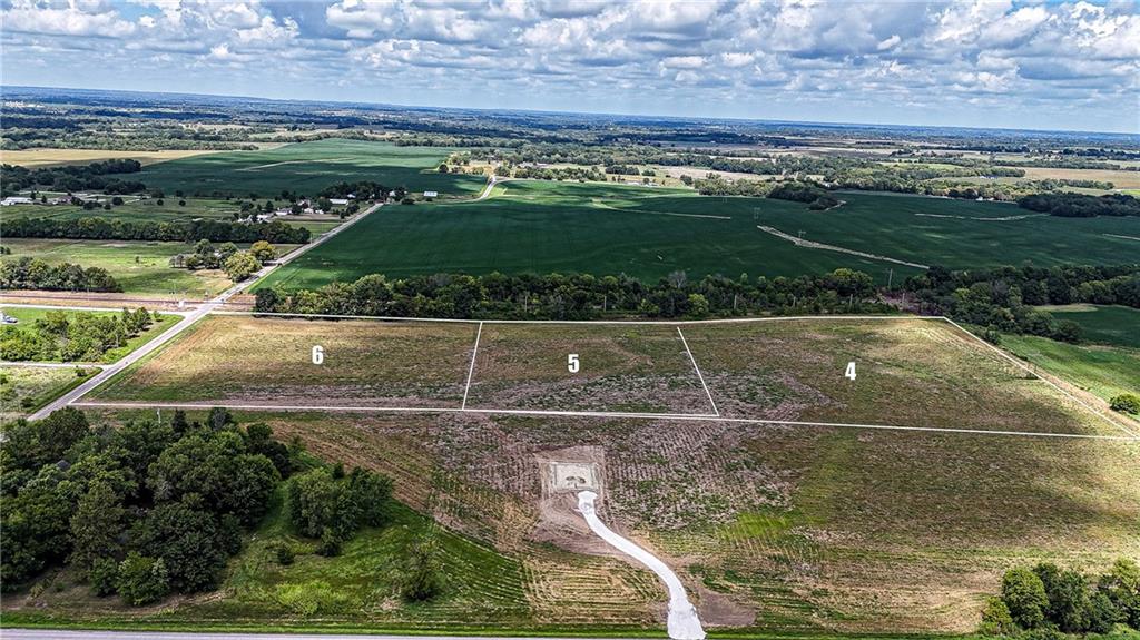 Listing Photo MLS #HMS2568239