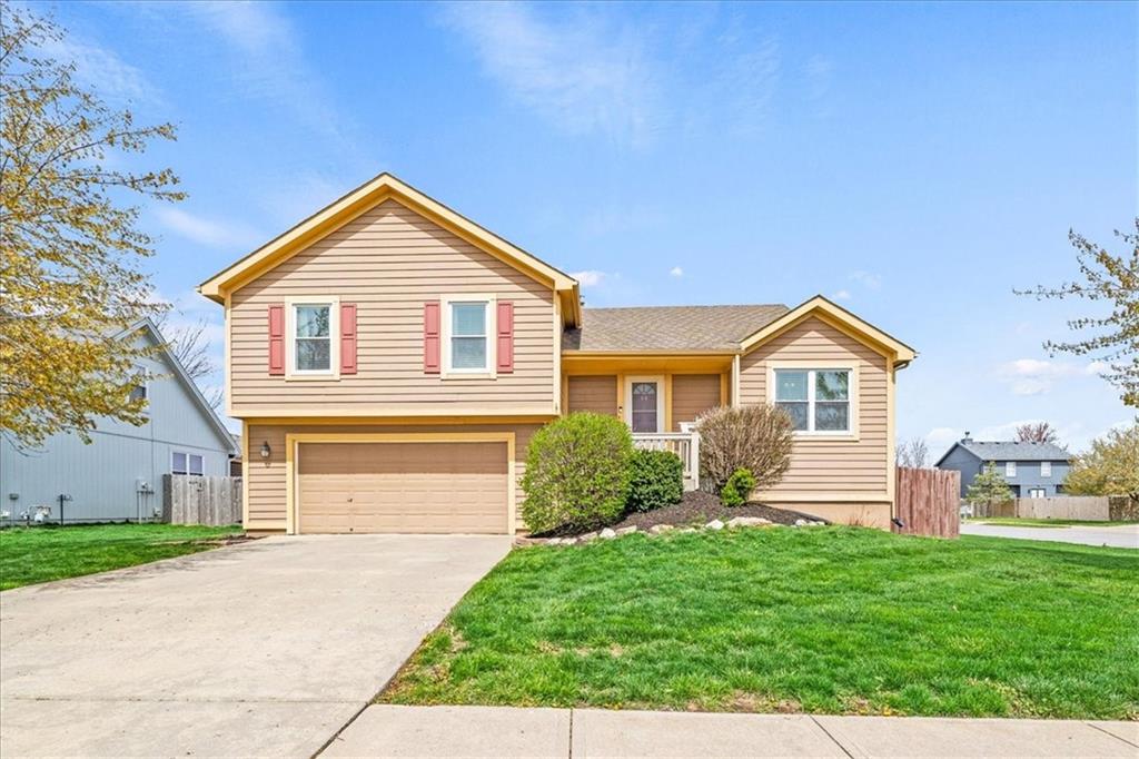 Listing Photo MLS #HMS2568941