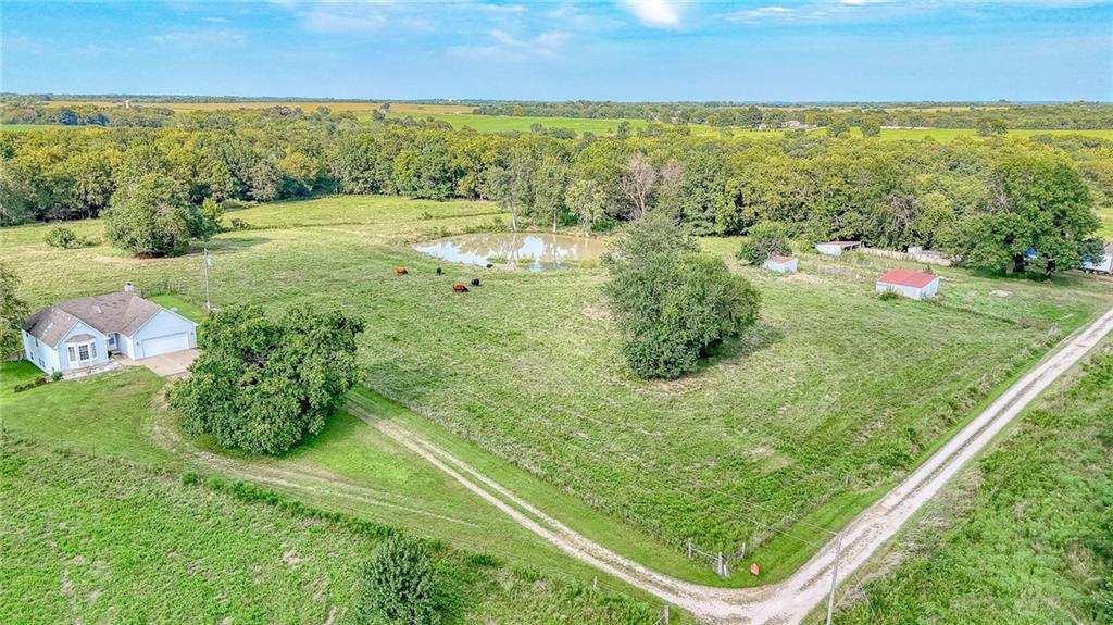 Listing Photo MLS #HMS2569115