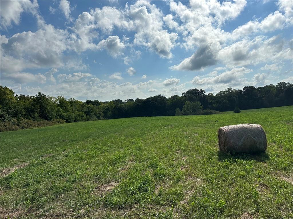 Listing Photo MLS #HMS2570325