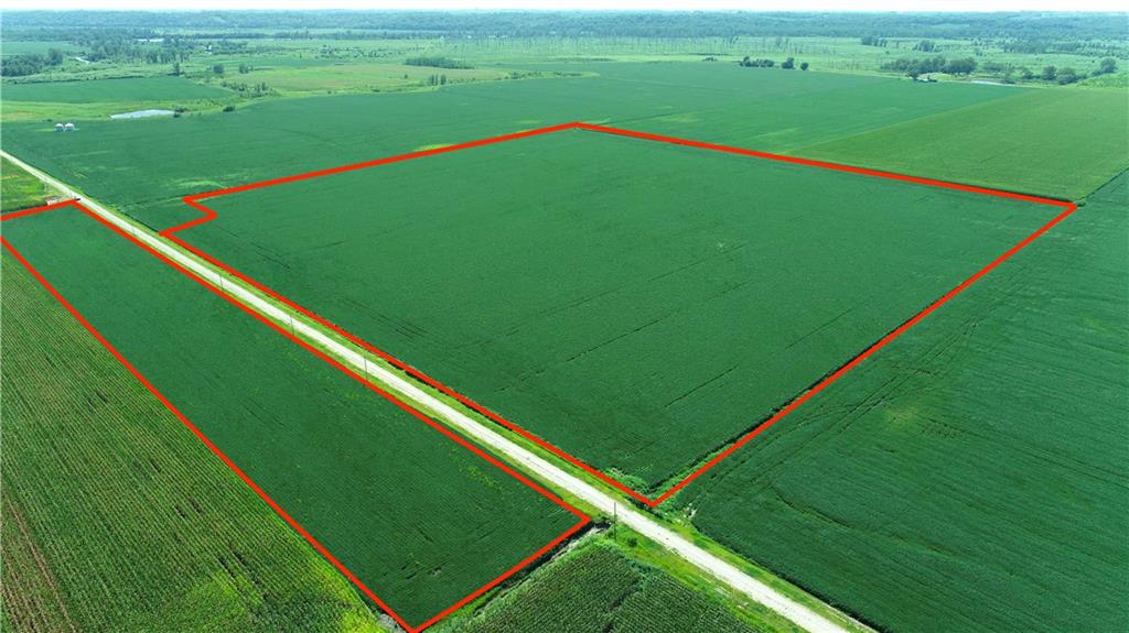 Listing Photo MLS #HMS2570499