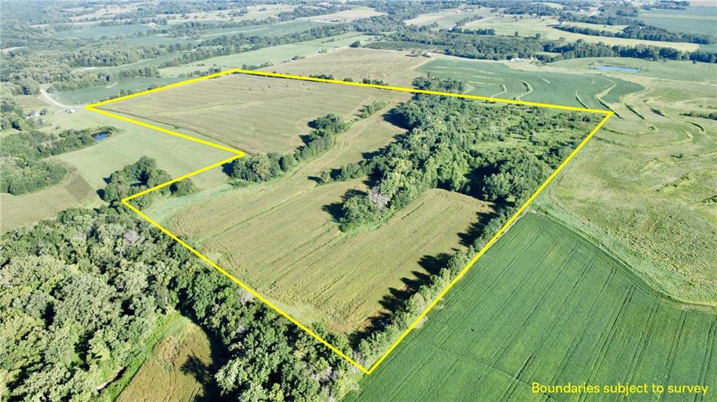 Listing Photo MLS #HMS2570575