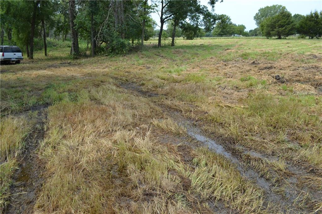 Listing Photo MLS #HMS2570685