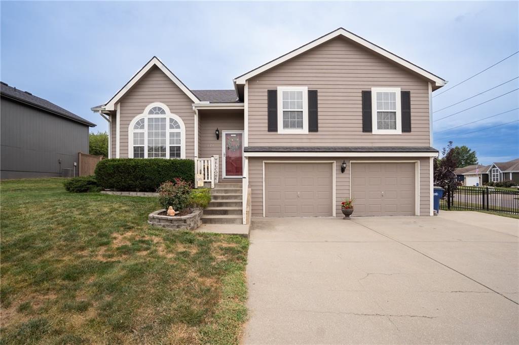 Listing Photo MLS #HMS2571186