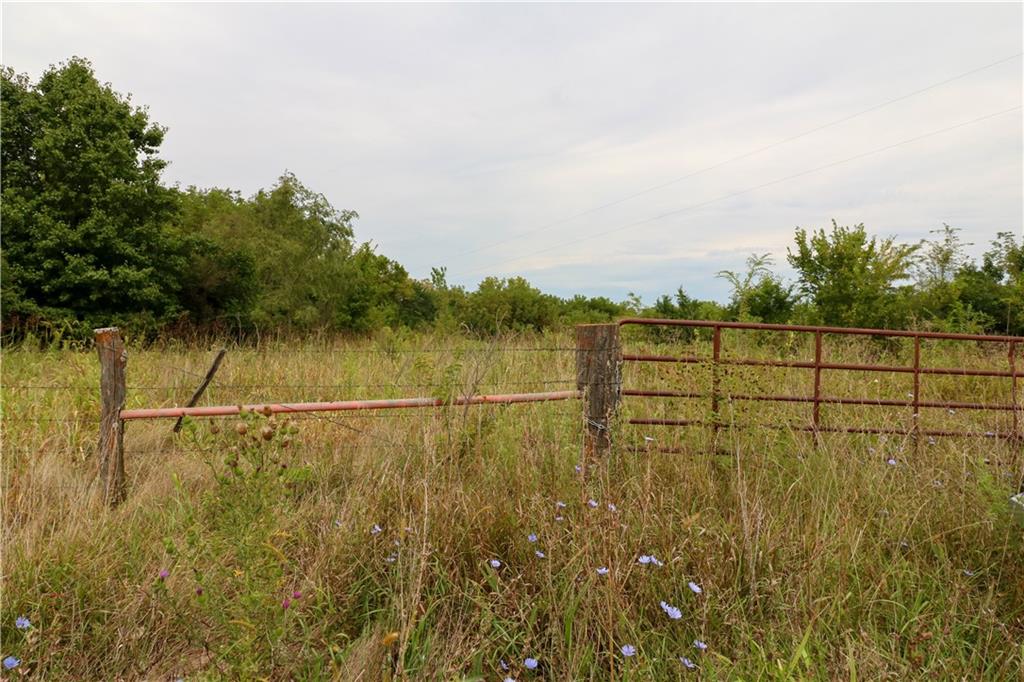 Listing Photo MLS #HMS2571630