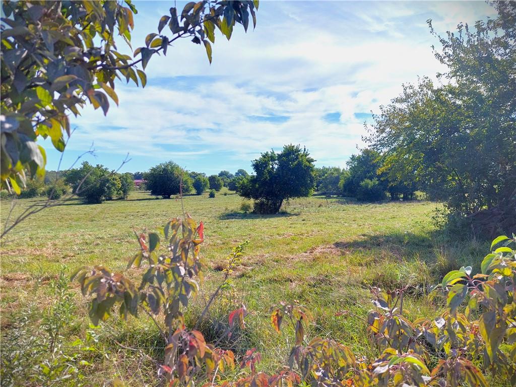 Listing Photo MLS #HMS2571671