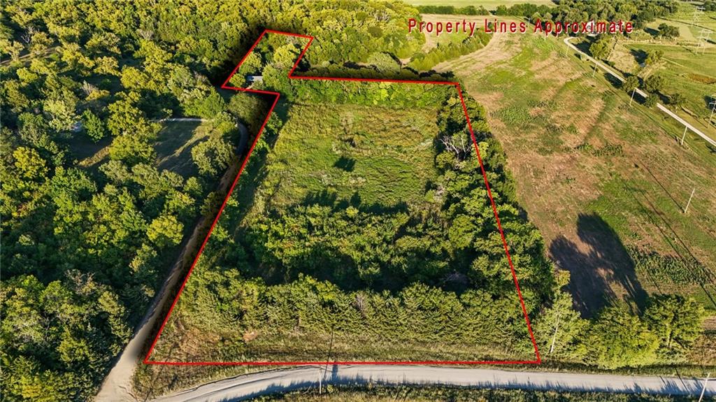 Listing Photo MLS #HMS2571842