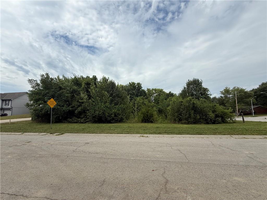 Listing Photo MLS #HMS2572068