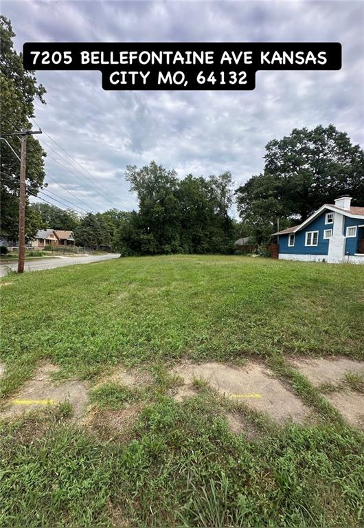 Listing Photo MLS #HMS2572154