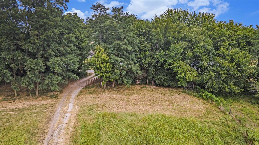 Listing Photo MLS #HMS2572263