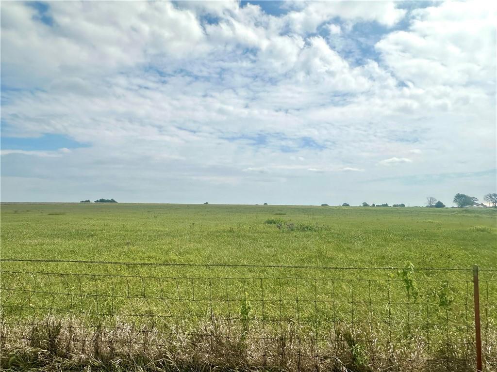 Listing Photo MLS #HMS2572328