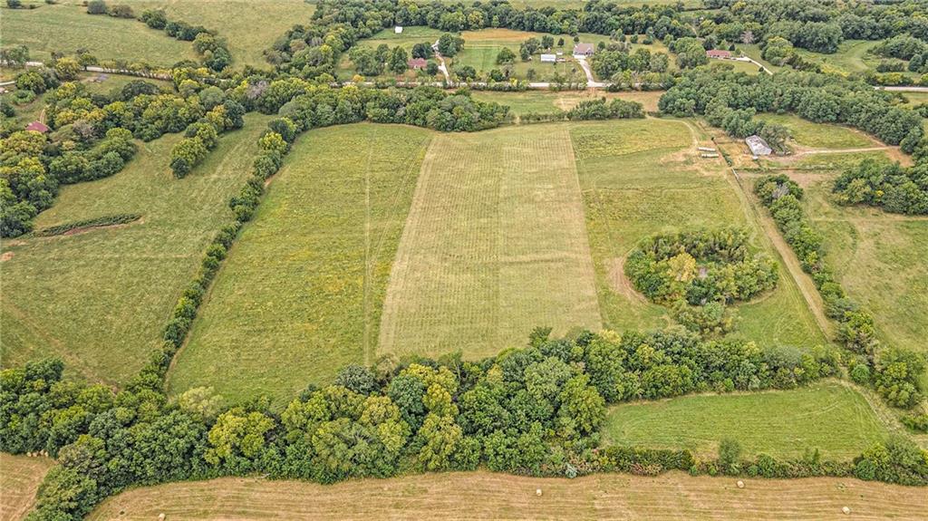 Listing Photo MLS #HMS2572371