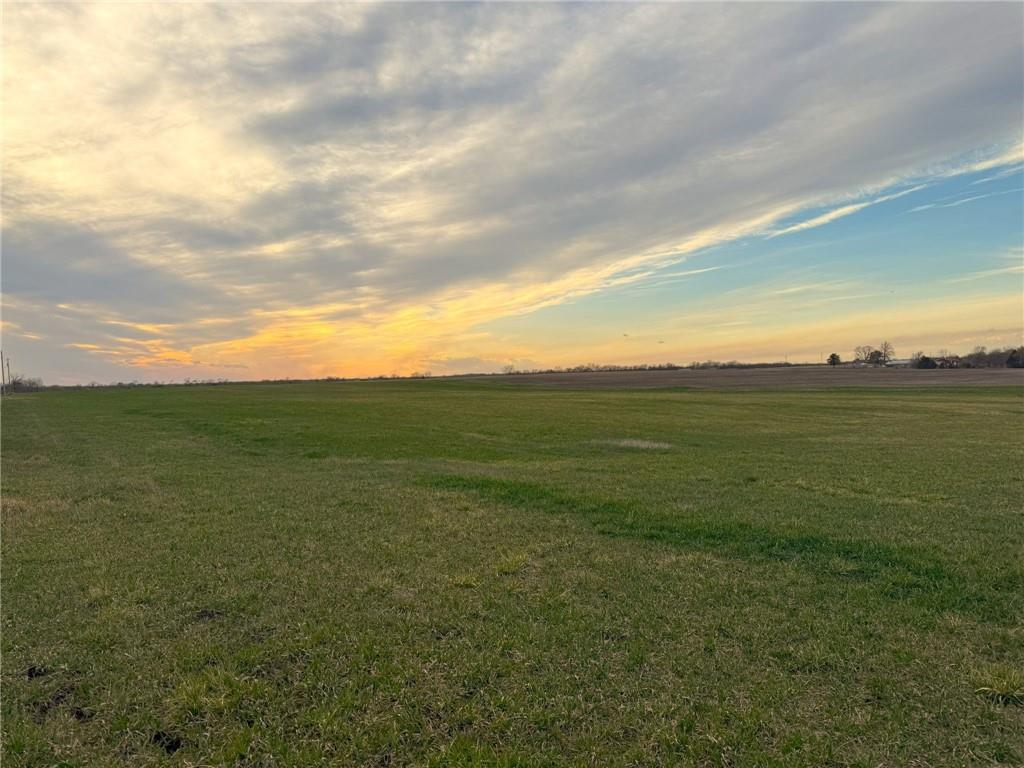 Listing Photo MLS #HMS2572384