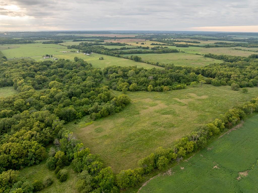 Listing Photo MLS #HMS2572738
