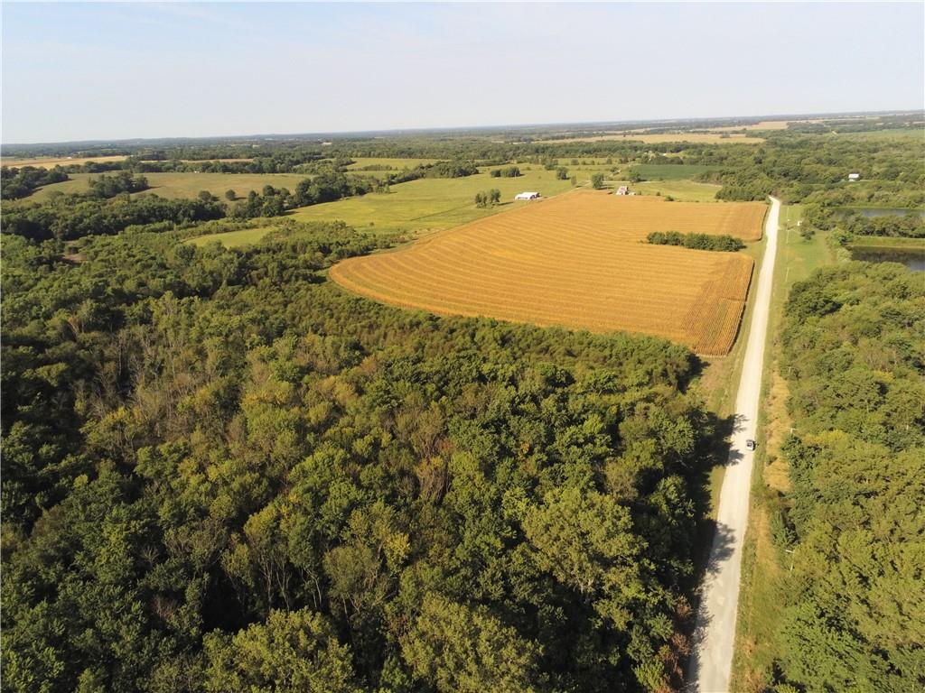 Listing Photo MLS #HMS2574467