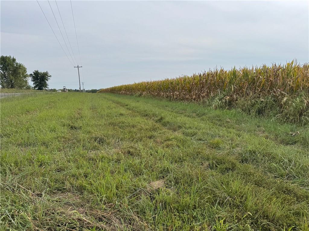 Listing Photo MLS #HMS2574474
