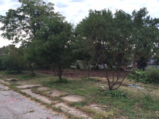 Listing Photo MLS #HMS2574584
