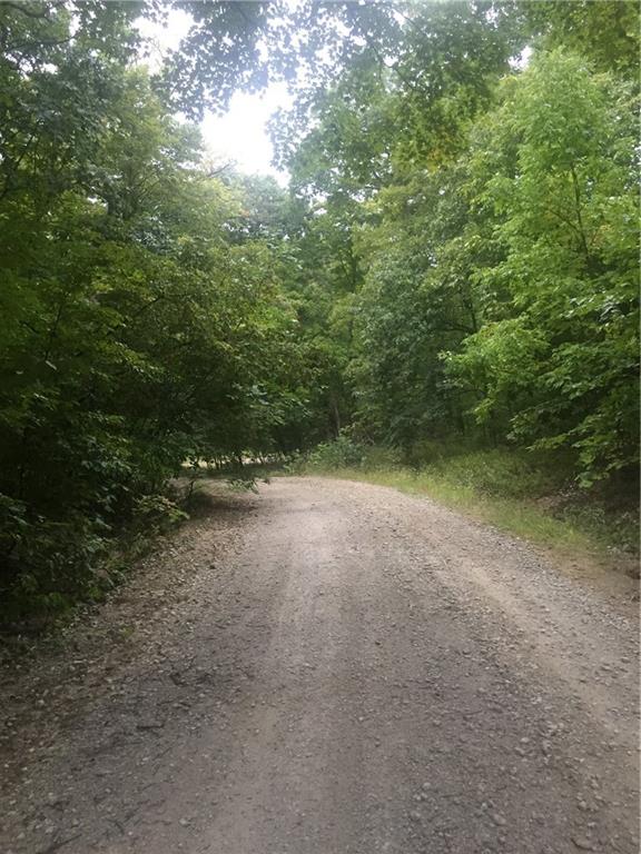 Listing Photo MLS #HMS2574658