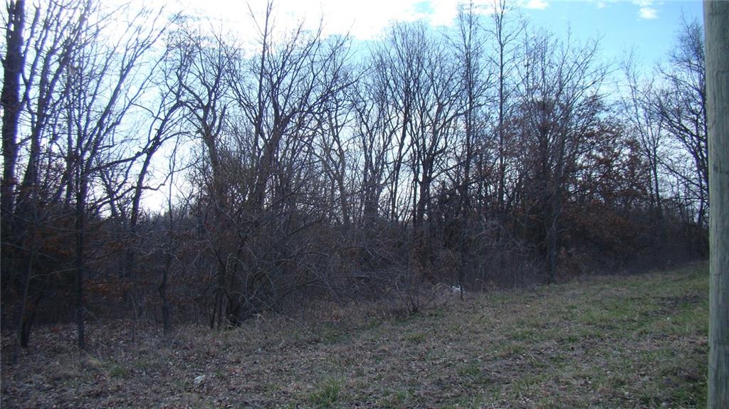 Listing Photo MLS #HMS2574672