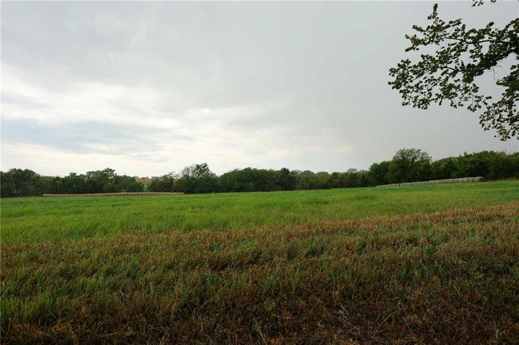 Listing Photo MLS #HMS2574748