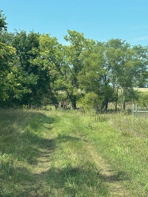 Listing Photo MLS #HMS2575194