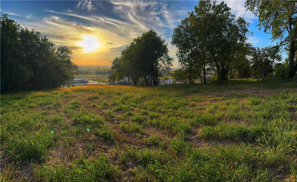 Listing Photo MLS #HMS2575485