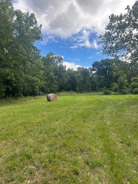 Listing Photo MLS #HMS2576326