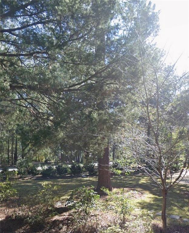 Listing Photo MLS #HMS2576829