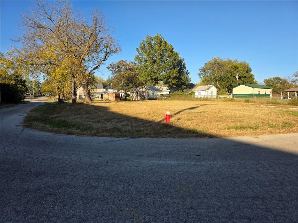 Listing Photo MLS #HMS2576975