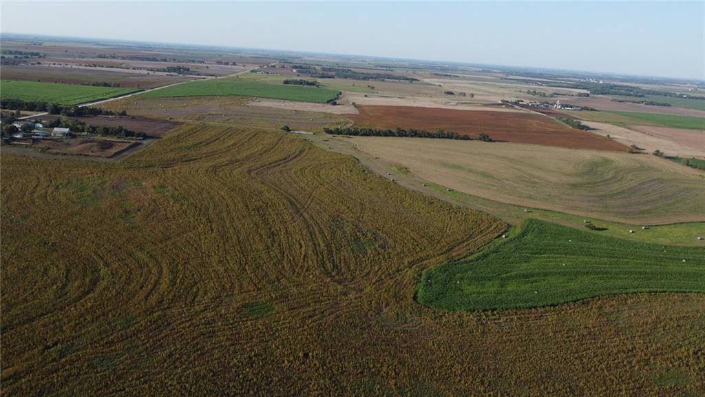 Listing Photo MLS #HMS2578670