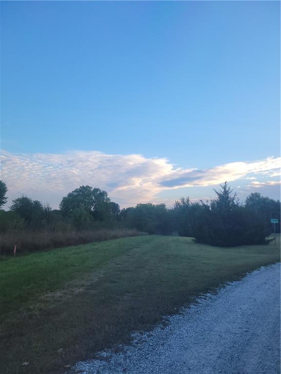 Listing Photo MLS #HMS2579298