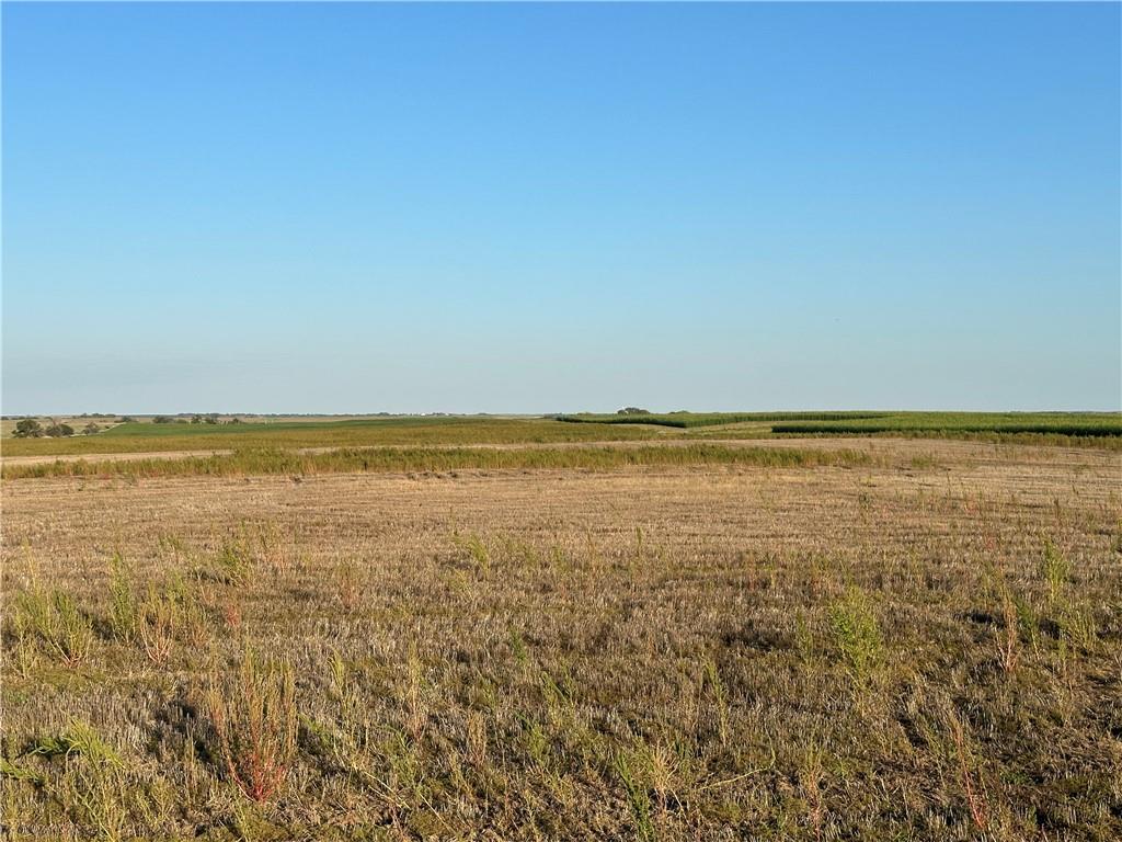 Listing Photo MLS #HMS2579517