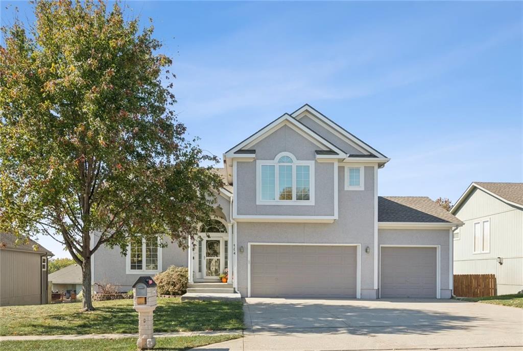 Listing Photo MLS #HMS2581011