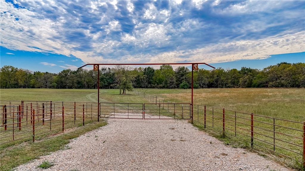 Listing Photo MLS #HMS2581278