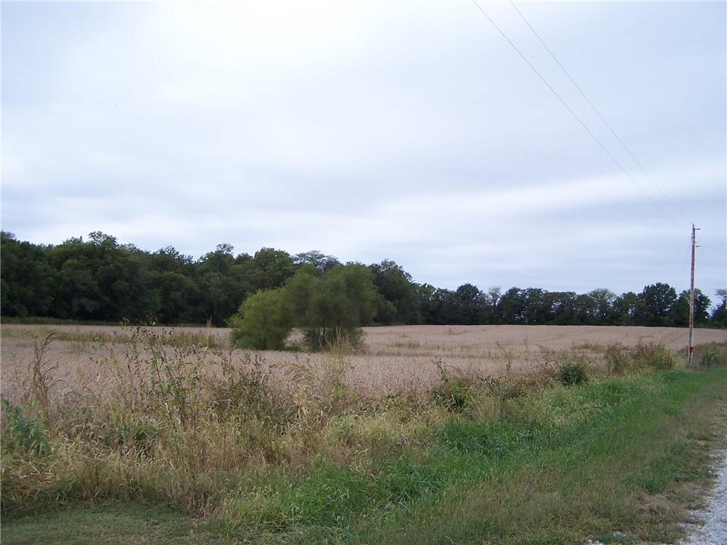 Listing Photo MLS #HMS2581383
