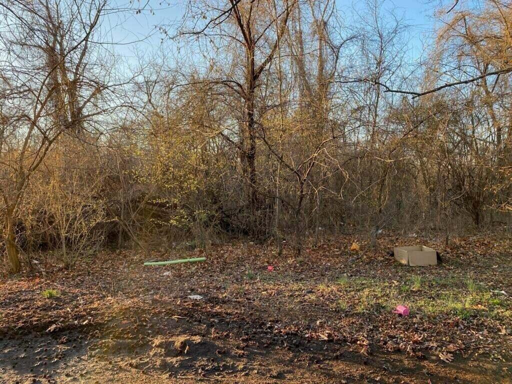 Listing Photo MLS #HMS2582109