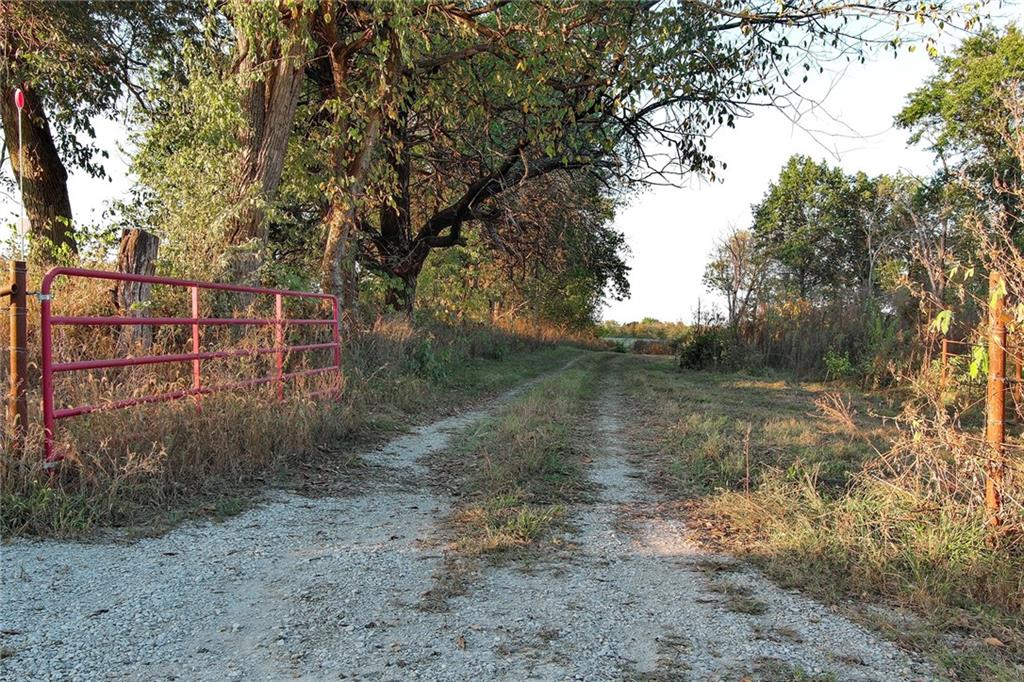 Listing Photo MLS #HMS2582244