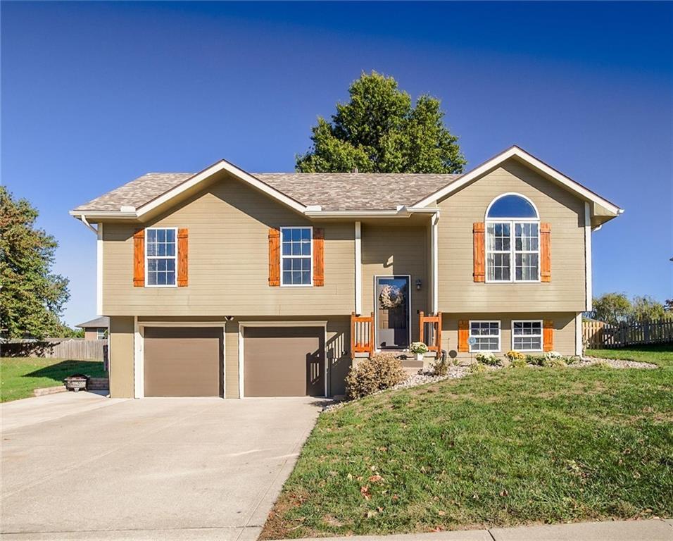Listing Photo MLS #HMS2582732